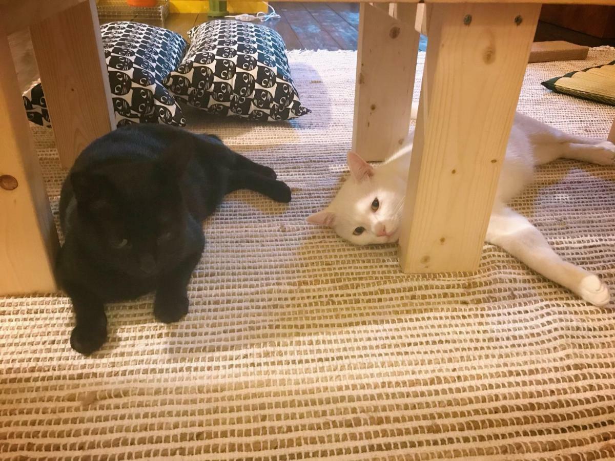 Mad Cat Hostel Osaka & Bar 외부 사진