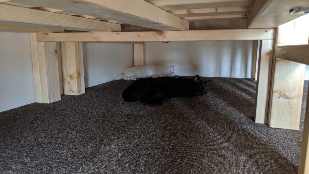 Mad Cat Hostel Osaka & Bar 외부 사진